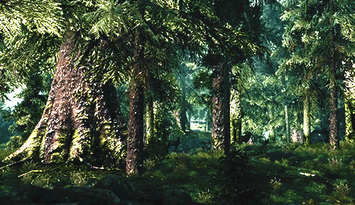 Хвойный лес анимация