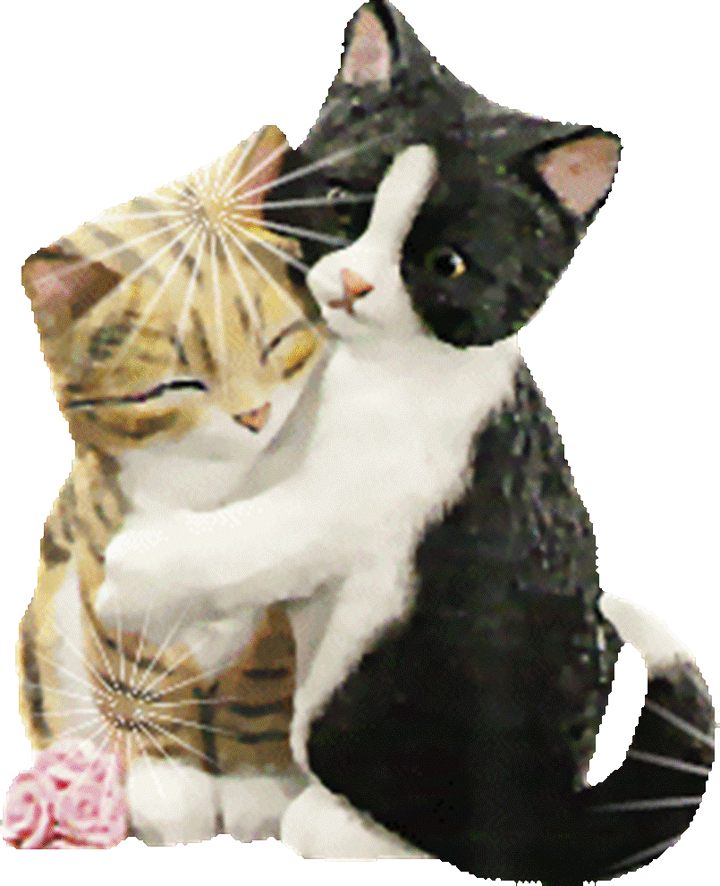 Лове кот. Влюбленные котики. Коты обнимаются. Котик целует. Анимация обнимашка.