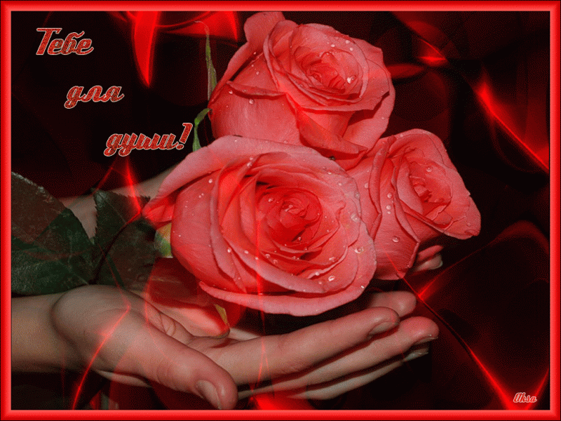 Красивая гифка жене. Розы для тебя. Красивые цветы с любовью и нежностью. Цветы для прекрасной девушки. Цветочек для тебя.
