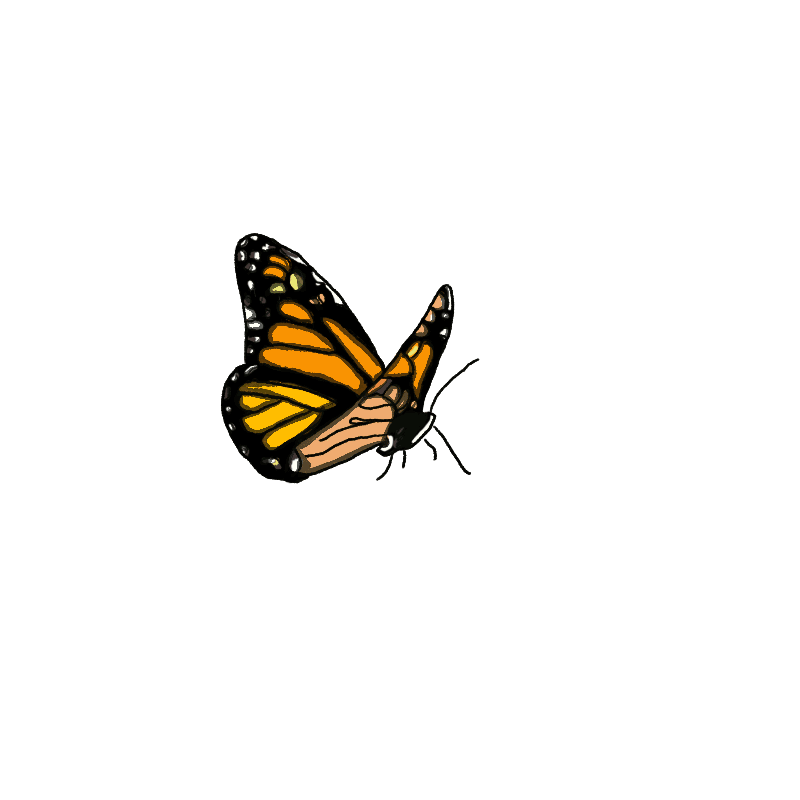 Прозрачная гифки анимации. Анимированные бабочки на прозрачном фоне. Бабочки анимация на прозрачном фоне. Бабочки летают. Анимационные бабочки на прозрачном фоне.