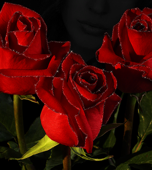 Мерцающие красные розы