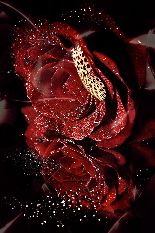 Мерцающие красные розы