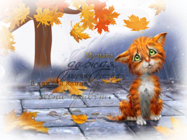 Осень последние теплые дни. Осенние открытки. Красивые осенние открытки. Осенние котики с надписью. Привет от осени дождливой.