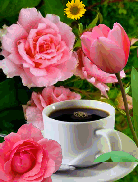 Цветы утром гифы. Доброе утро розы. С добрым утром розы. Открытки с добрым утром с розами. Утренние цветы с пожеланиями.
