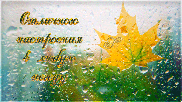 Открытки хорошего настроения в любую погоду. Хорошего настроения в дождливый осенний день. Доброго дня в любую погоду. Хорошего осеннего настроения в любую погоду. Настроения в любую погоду открытки