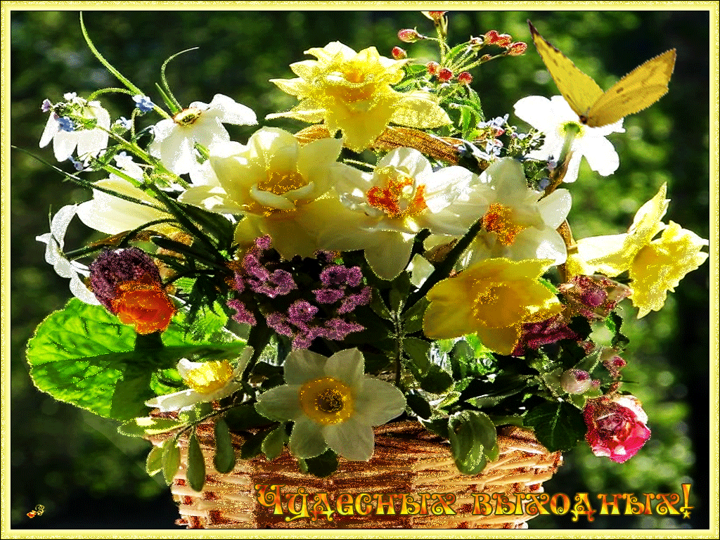 Хорошего настроения и удачного дня цветы. Солнечные цветы букет. Прекрасных весенних выходных. Цветы чудесного настроения. Прекрасного солнечного весеннего настроения