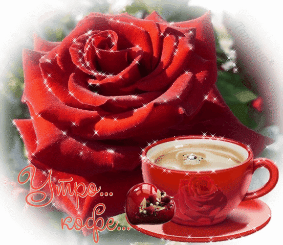 Бесплатные гифки доброе утро очень красивые. Доброе утро розы. Открытки с добрым утром с розами. С добрым утром гифки красивые. Розы с добрым утром мерцающие.