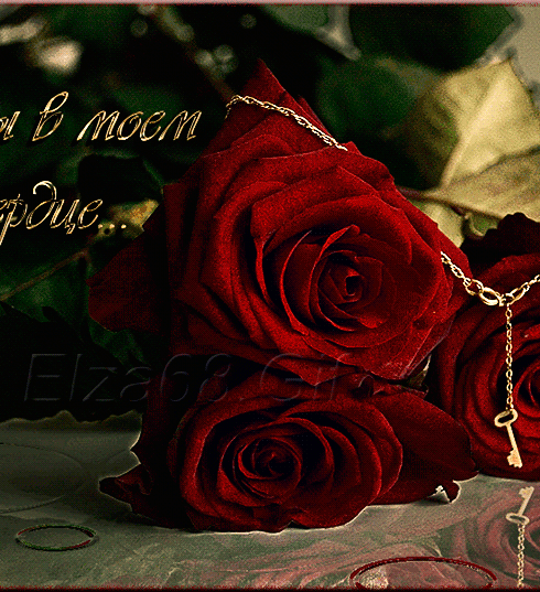 Розы с надписью для тебя с любовью