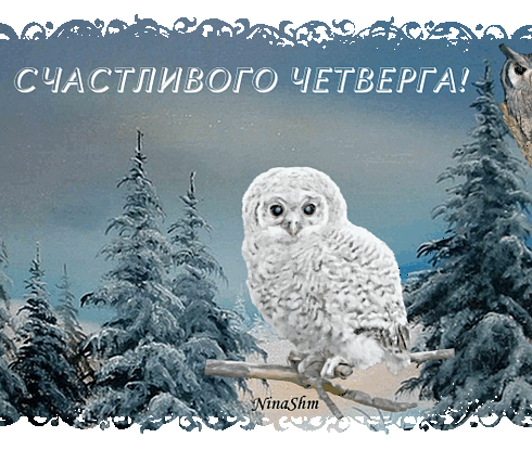С зимним четвергом