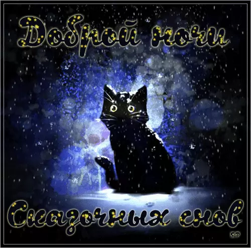 Доброй ночи котик. Спокойной ночи гифки. Спокойной ночи черный кот. Спокойной ночи с кошками. Киса ночью