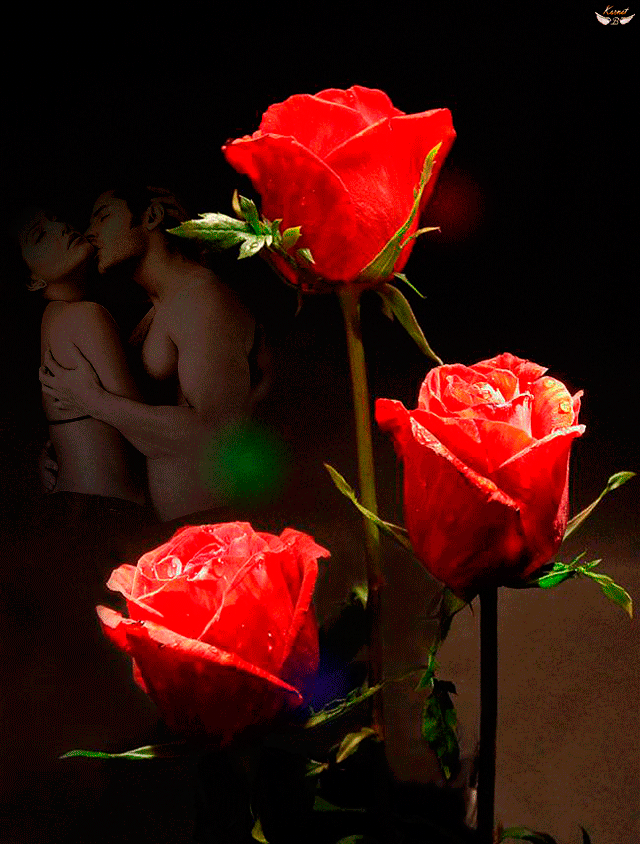 Animacia. Анимированные розы. Цветы анимация розы. Розы гифы. Открытки с розами.