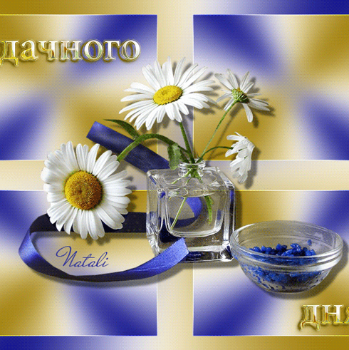 Удачного дня