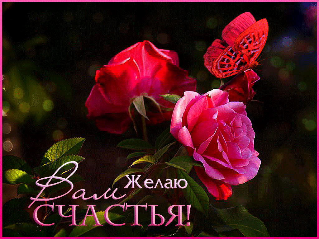 Красивые гифки с днем счастья. Желаем счастья. Пожелания счастья. Желаю вам счастья. Красивые розы с пожеланиями удачи.