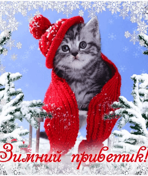 Зимний привет