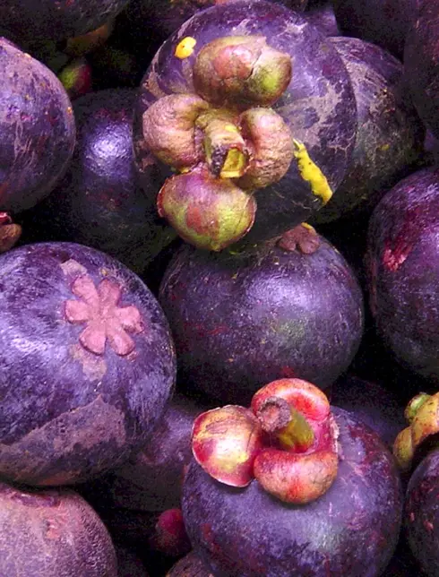 Фиолетовая маракуйя фрукт
