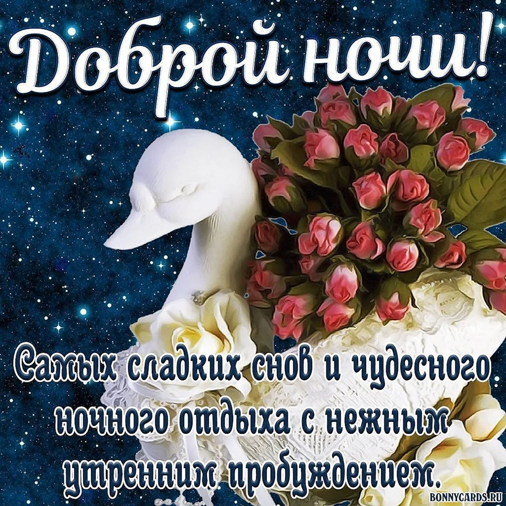 Пожелания спокойной ночи — картинки на украинском, стихи, проза, любимым и друзьям — Украина