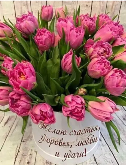 С днём рождения тюльпаны